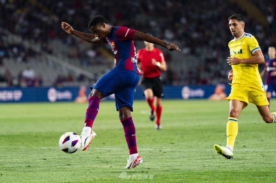 数据的详细 数据的详细